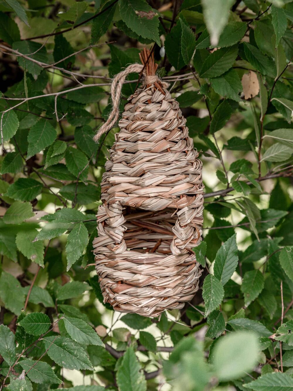 Vysoké hnízdo pro drobné ptactvo zavěšené na stromě