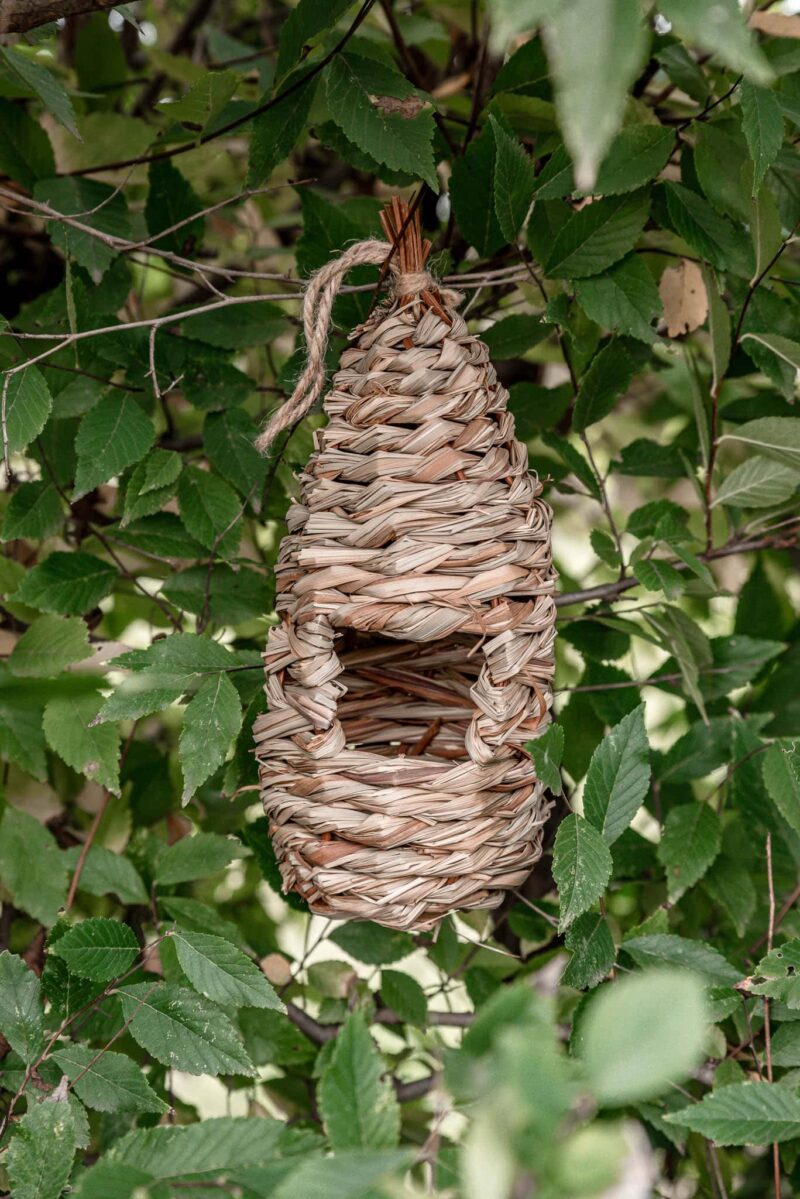 Vysoké hnízdo pro drobné ptactvo zavěšené na stromě