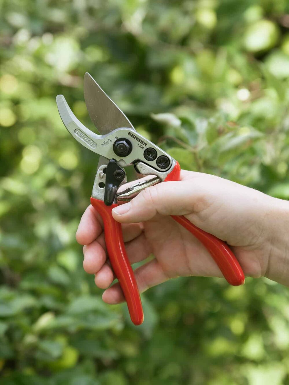 zahradnické nůžky Berger v ruce