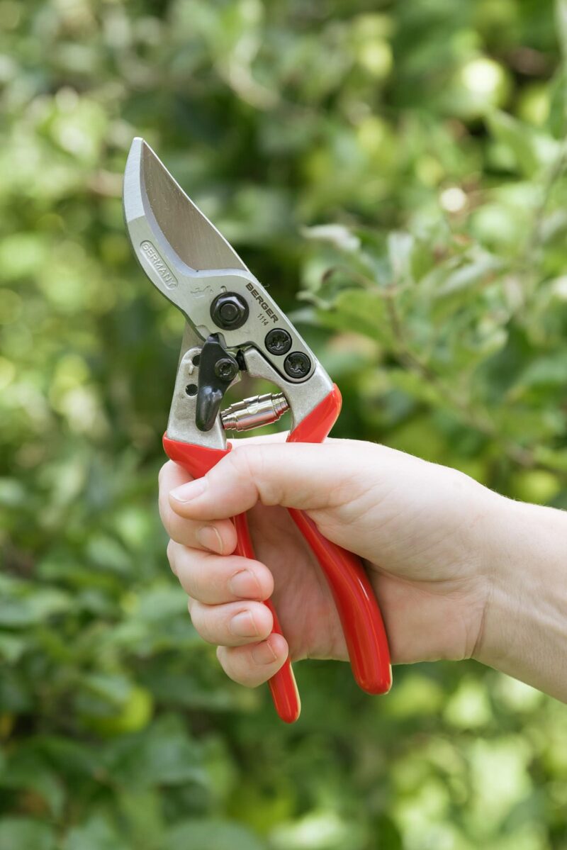 univerzální zahradní nůžky v ruce
