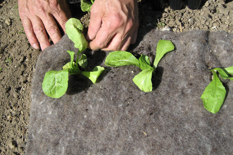 Ochranná rohož proti plevelům GARDENWOOL - Image 3