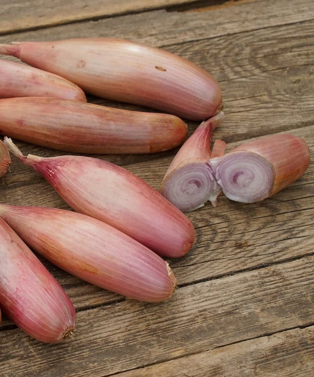BIO Cibule Cuisse de Poulet G757